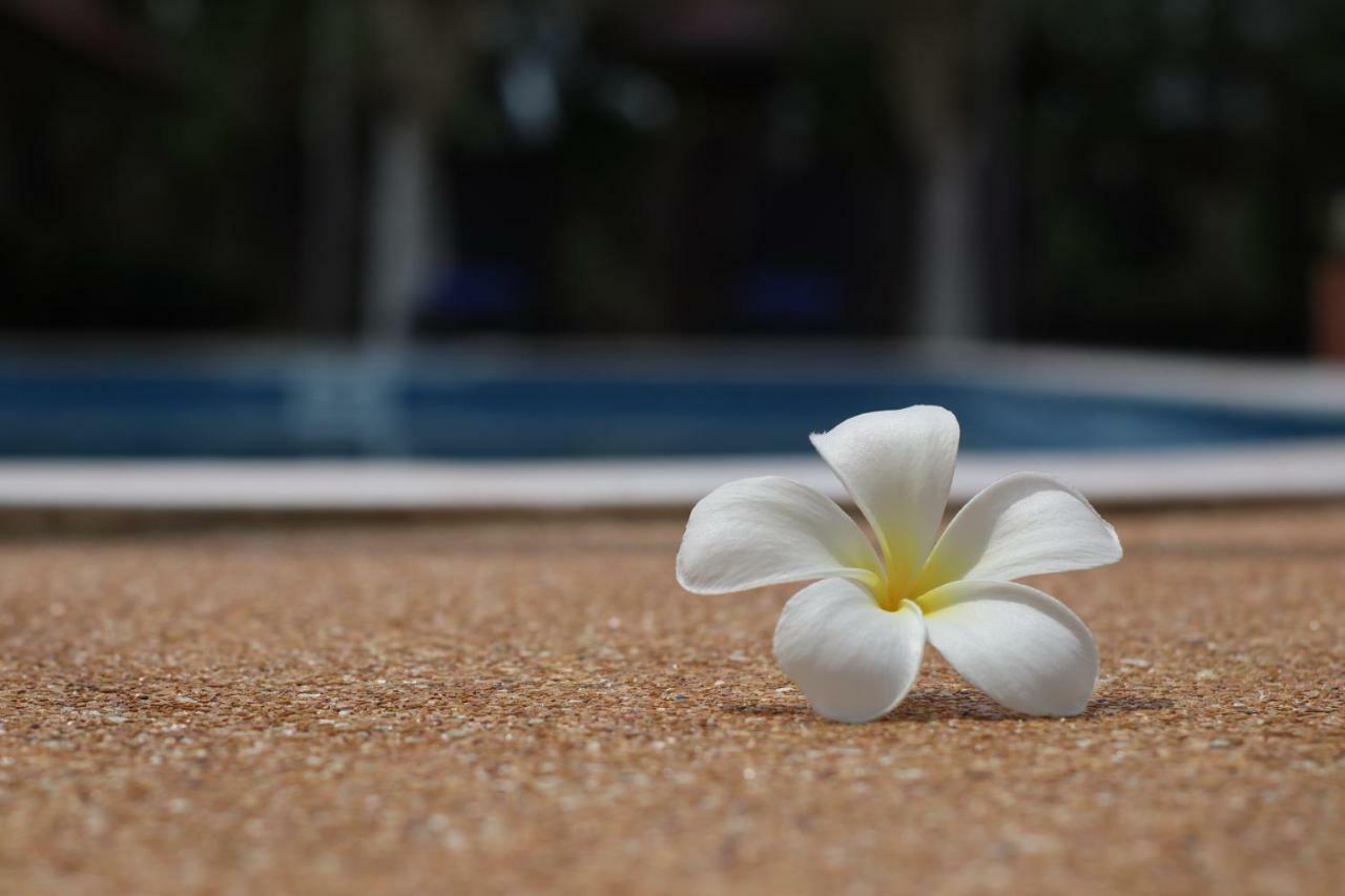 The Hillside Pranburi Resort Eksteriør bilde